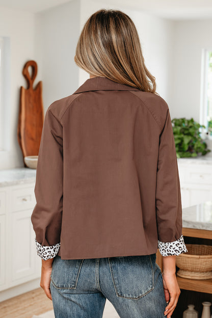 Dark Brown Collar Jacket